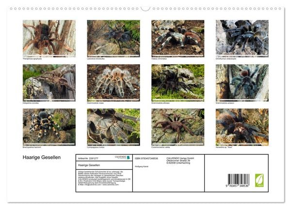 Produktbild: Haarige Gesellen (hochwertiger Premium Wandkalender 2026 DIN A2 quer), Kunstdruck in Hochglanz