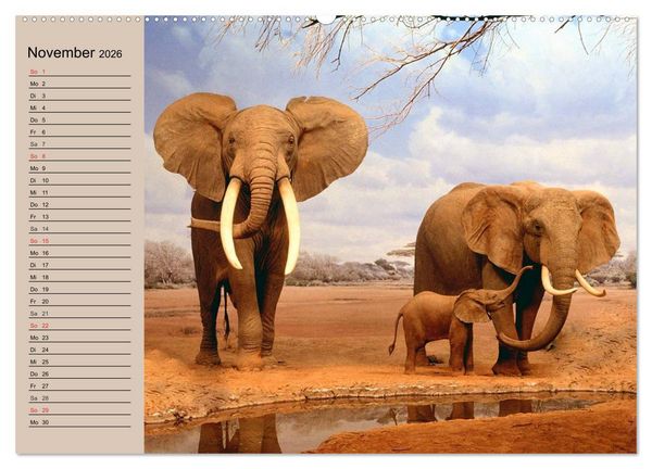 Produktbild: Elefanten in freier Wildbahn (Wandkalender 2026 DIN A2 quer), CALVENDO Monatskalender