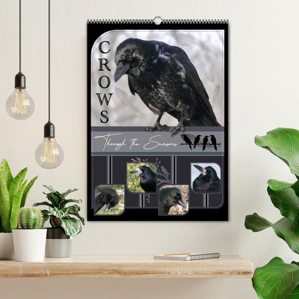 Produktbild: Crows - Through the Seasons (Wall Calendar 2026 DIN A2 portrait), CALVENDO 12 Month Wall Calendar