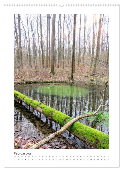 Produktbild: Mein Sehnsuchtsort, der Wald (Wandkalender 2026 DIN A2 hoch), CALVENDO Monatskalender