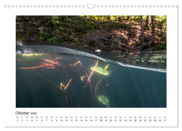 Produktbild: Unter Wasser in B&auml;chen und Fl&uuml;ssen (Wandkalender 2026 DIN A3 quer), CALVENDO Monatskalender