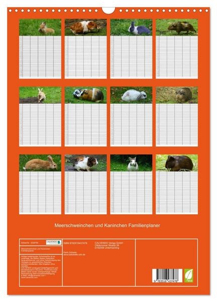 Produktbild: Meerschweinchen und Kaninchen Familienplaner (Wandkalender 2026 DIN A3 hoch), CALVENDO Monatskalender