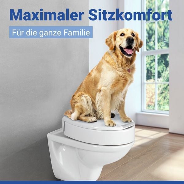 Produktbild: WC Sitz Mod. Secura Comfort L, mit 8 cm Sitzerh&ouml;hung, belastbar bis 300 kg