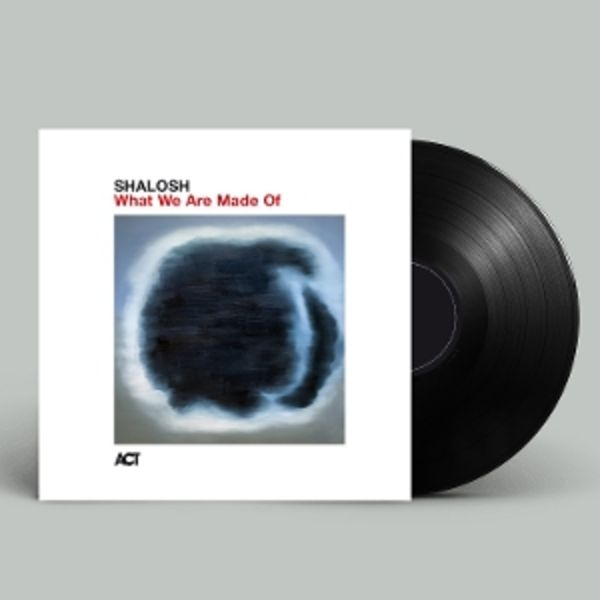 What We Are Made Of (180g Black Vinyl) - Shalosh, Vinyl