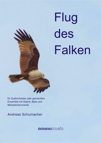 Produktbild: Flug des Falken
