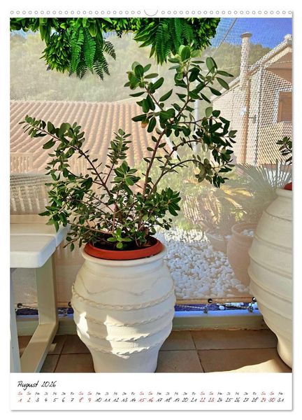 Produktbild: Faszinierende Olivenb&auml;ume (hochwertiger Premium Wandkalender 2026 DIN A2 hoch), Kunstdruck in Hochglanz