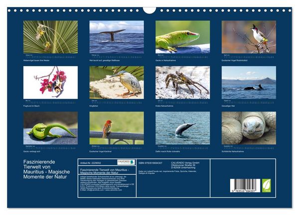 Produktbild: Faszinierende Tierwelt von Mauritius - Magische Momente der Natur (Wandkalender 2026 DIN A3 quer), CALVENDO Monatskalender