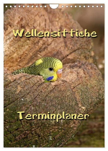 Produktbild: Wellensittiche Terminplaner (Wandkalender 2026 DIN A4 hoch), CALVENDO Monatskalender