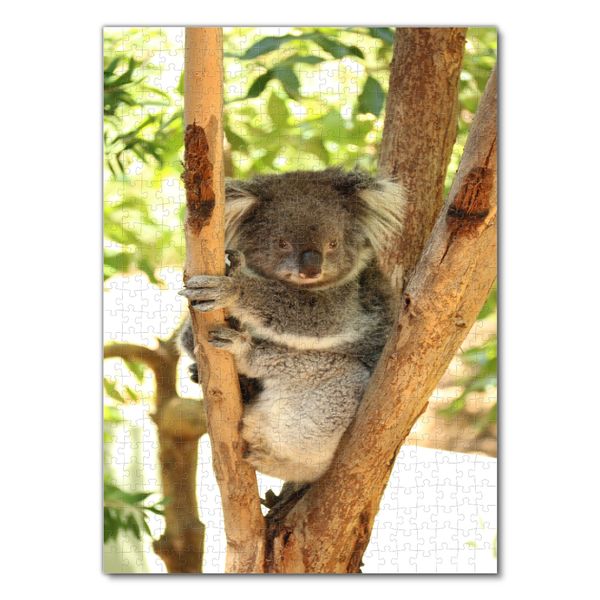 Produktbild: Lais Puzzle Koala Australien 500 Teile