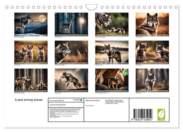 Produktbild: A year among wolves (Wall Calendar 2026 DIN A4 landscape), CALVENDO 12 Month Wall Calendar