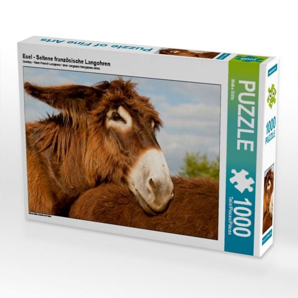CALVENDO Puzzle Esel - Seltene französische Langohren | 1000 Teile Lege-Größe 64 × 48 cm Foto-Puzzle für glückliche Stunden