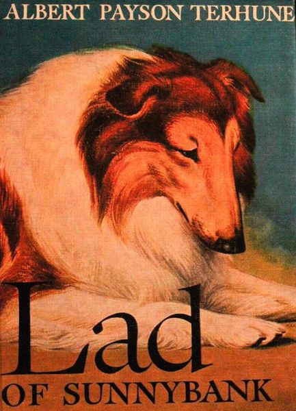 Produktbild: Lad of Sunnybank