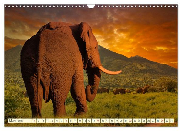 Produktbild: Fantastic Kenya (Wall Calendar 2026 DIN A3 landscape), CALVENDO 12 Month Wall Calendar
