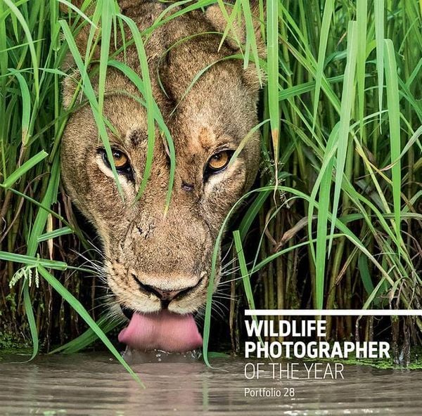 Produktbild: Wildlife Photographer of the Year: Portfolio 28