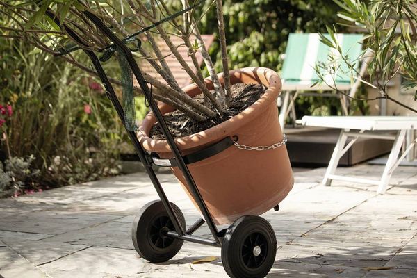 Produktbild: Rothenberger Industrial 1500003367 Sackkarre Traglast (max.): 11kg