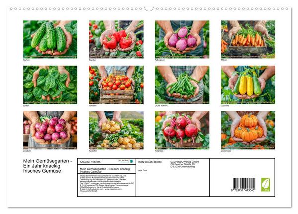 Produktbild: Mein Gem&uuml;segarten - Ein Jahr knackig frisches Gem&uuml;se (hochwertiger Premium Wandkalender 2026 DIN A2 quer), Kunstdruck in Hochglanz