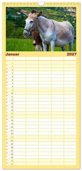 Produktbild: Familienplaner 2027 - Liebenswerte Esel mit 5 Spalten (Wandkalender, 21 x 45 cm) CALVENDO