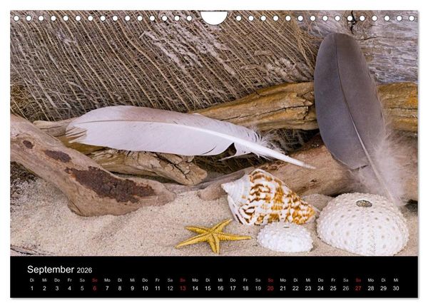 Produktbild: Strandgut und Meer 2026 (Wandkalender 2026 DIN A4 quer), CALVENDO Monatskalender