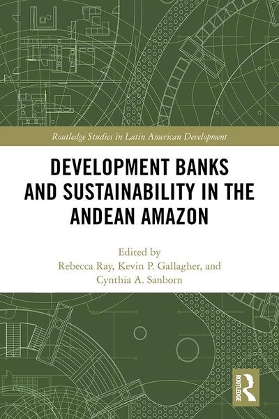 Produktbild: Development Banks and Sustainability in the Andean Amazon