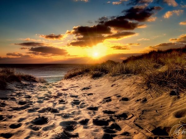 Produktbild: CALVENDO Puzzle D&uuml;nen an der Nordsee | 1000 Teile Lege-Gr&ouml;&szlig;e 64x48cm Foto-Puzzle f&uuml;r gl&uuml;ckliche Stunden