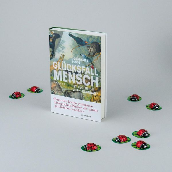 Produktbild: Gl&uuml;cksfall Mensch