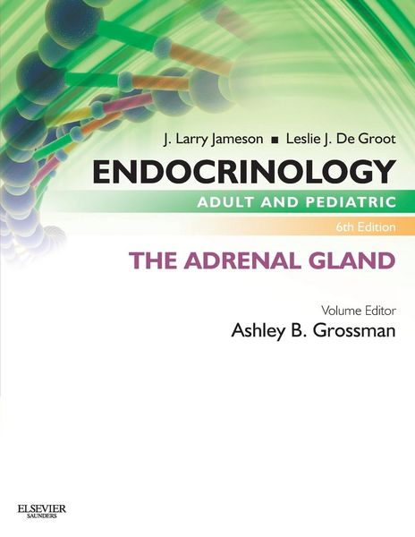 Produktbild: Endocrinology Adult and Pediatric