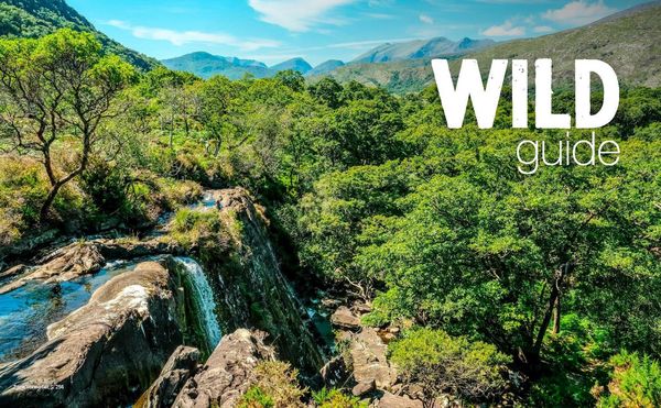 Produktbild: Wild Guide Irland - Der Westen