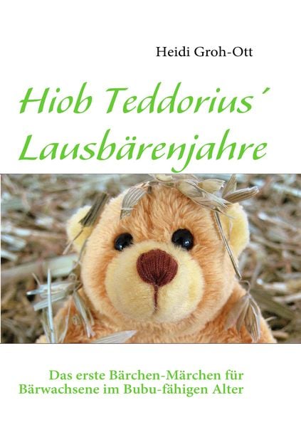 Hiob Teddorius' Lausbärenjahre, Taschenbuch von Heidi Groh-Ott, BoD – Books on Demand, 9783839152782