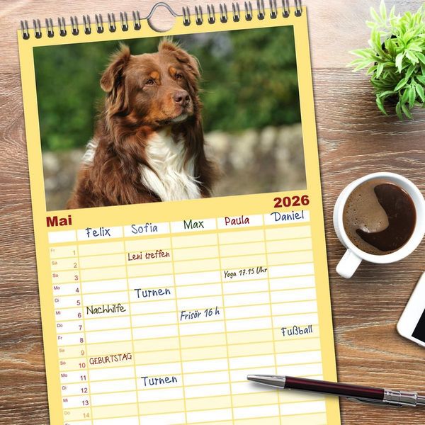 Produktbild: Familienplaner 2026 - Bekannt wie ein bunter Hund. Australian Shepherd mit 5 Spalten (Wandkalender, 21 x 45 cm) CALVENDO