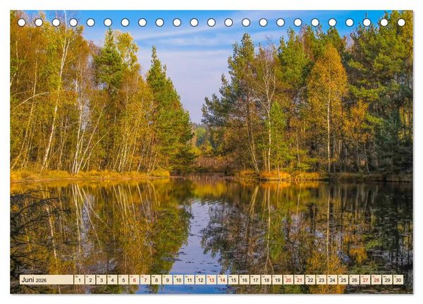 Produktbild: Herbst im Schwenninger Moos (Tischkalender 2026 DIN A5 quer), CALVENDO Monatskalender