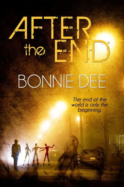 Produktbild: After the End