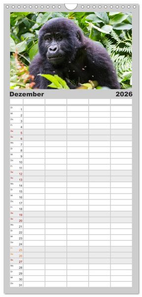 Produktbild: Familienplaner 2026 - Gorillas ohne Nebel mit 5 Spalten (Wandkalender, 21 x 45 cm) CALVENDO