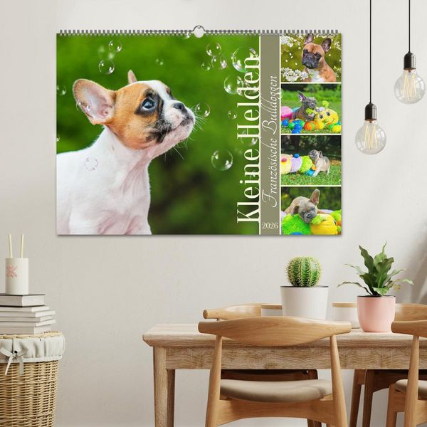 Produktbild: Kleine Helden - Franz&ouml;sische Bulldoggen (Wandkalender 2026 DIN A2 quer), CALVENDO Monatskalender