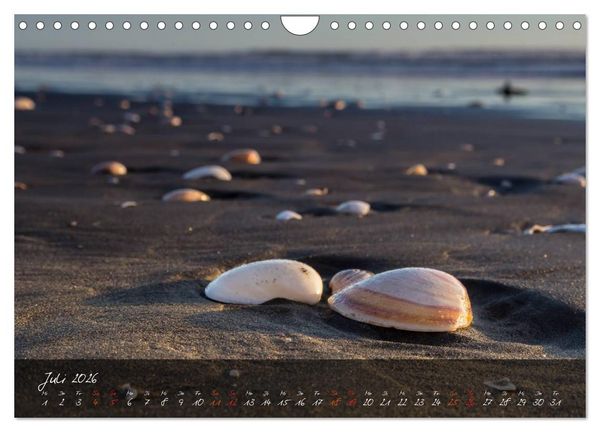 Produktbild: Neuseeland - Land der Maori (Wandkalender 2026 DIN A4 quer), CALVENDO Monatskalender