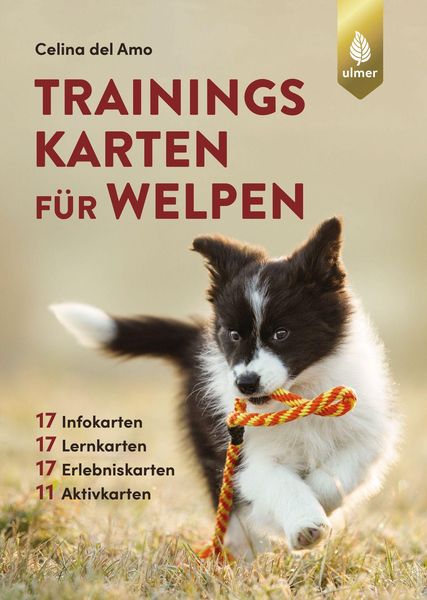 Produktbild: Trainingskarten f&uuml;r Welpen