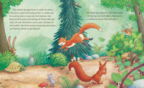 Produktbild: Trau dich, Tilly!