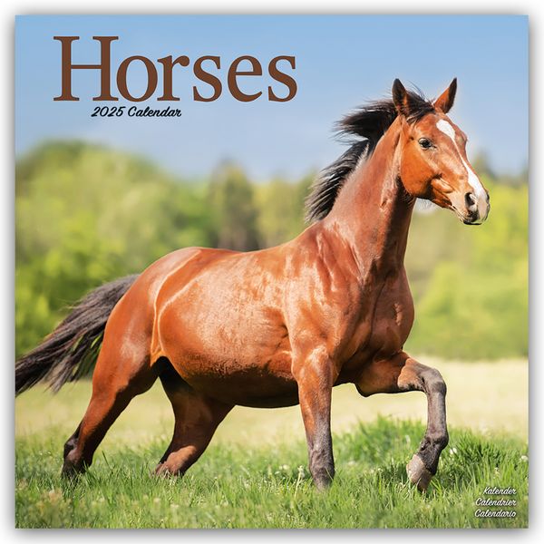 Horses – Pferde 2025 – 16-Monatskalender