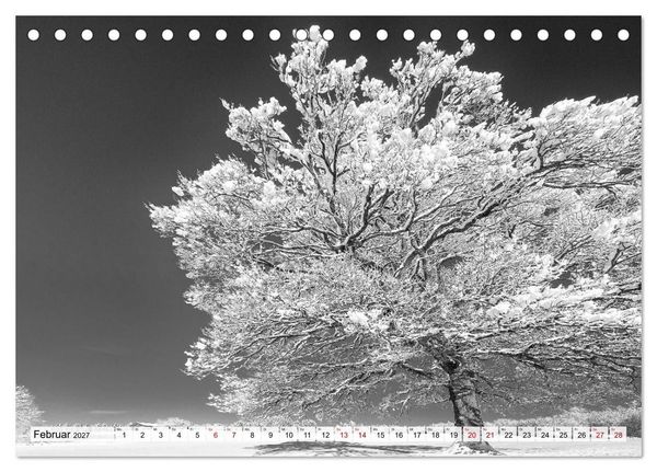 Produktbild: Traumhafte Allg&auml;uer Alpen (Tischkalender 2027 DIN A5 quer), CALVENDO Monatskalender