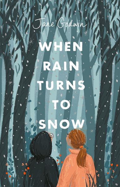 Produktbild: When Rain Turns to Snow