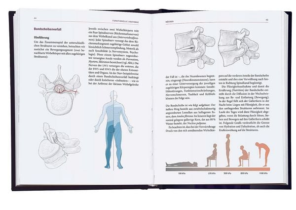 Produktbild: Yoga-Therapie in der Praxis