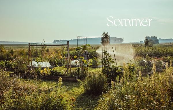 Produktbild: Was kocht Hanna
