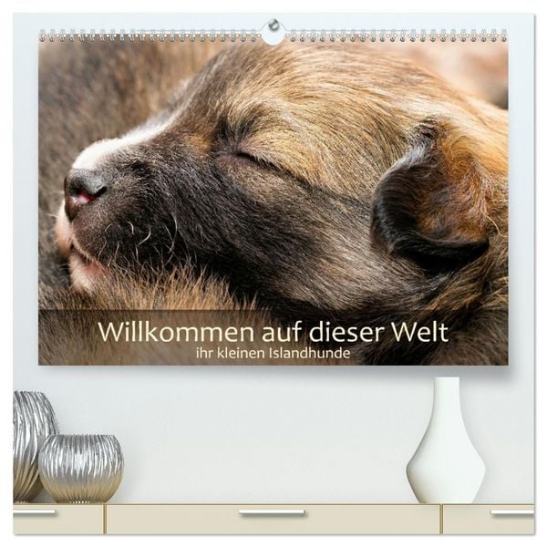 Produktbild: Willkommen auf dieser Welt ihr kleinen Islandhunde (hochwertiger Premium Wandkalender 2027 DIN A2 quer), Kunstdruck in Hochglanz