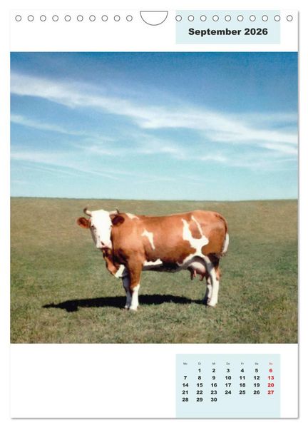 Produktbild: Blaues Land (Wandkalender 2026 DIN A4 hoch), CALVENDO Monatskalender