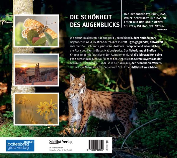 Produktbild: Die Sch&ouml;nheit des Augenblicks