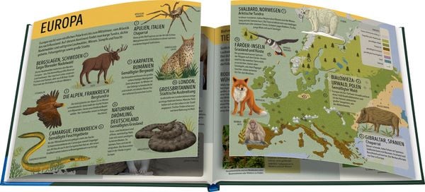 Produktbild: Der Ravensburger Tieratlas