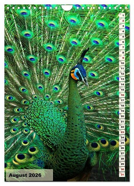 Produktbild: Colourful birds (Wall Calendar 2026 DIN A4 portrait), CALVENDO 12 Month Wall Calendar