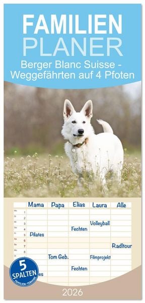Produktbild: Familienplaner 2026 - Berger Blanc Suisse - Weggef&auml;hrten auf 4 Pfoten mit 5 Spalten (Wandkalender, 21 x 45 cm) CALVENDO