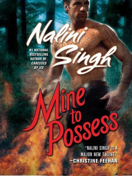 Produktbild: Mine to Possess