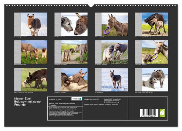Produktbild: Kleiner Esel. Boldewyn mit seinen Freunden (hochwertiger Premium Wandkalender 2026 DIN A2 quer), Kunstdruck in Hochglanz