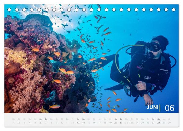 Produktbild: Die sch&ouml;nsten Korallenriffe zum Tauchen in &Auml;gypten (Tischkalender 2026 DIN A5 quer), CALVENDO Monatskalender